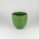 Succulent Pot - Fern