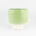Tall Ivy Pot Mint Gloss